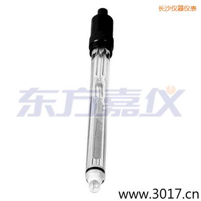 長沙玻璃外殼純水電極