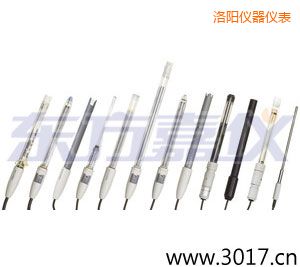 洛陽(yáng)pH電極