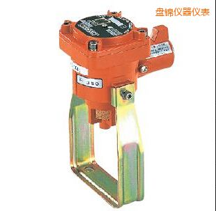 �P�\�̶�ʽ��ȼ���w�z�y�x