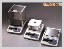 煙臺GX系列精密電子天平,210g,0.001g